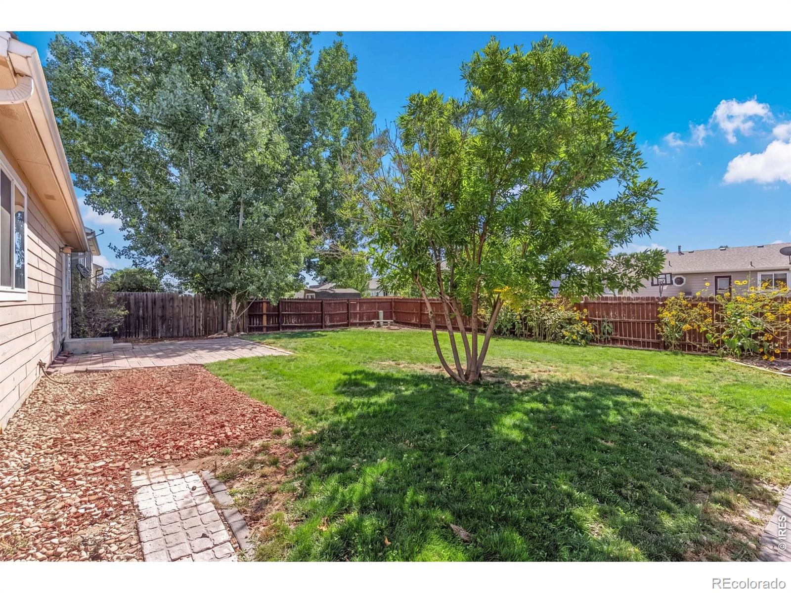 MLS Image #10 for 320 e lilac street,milliken, Colorado