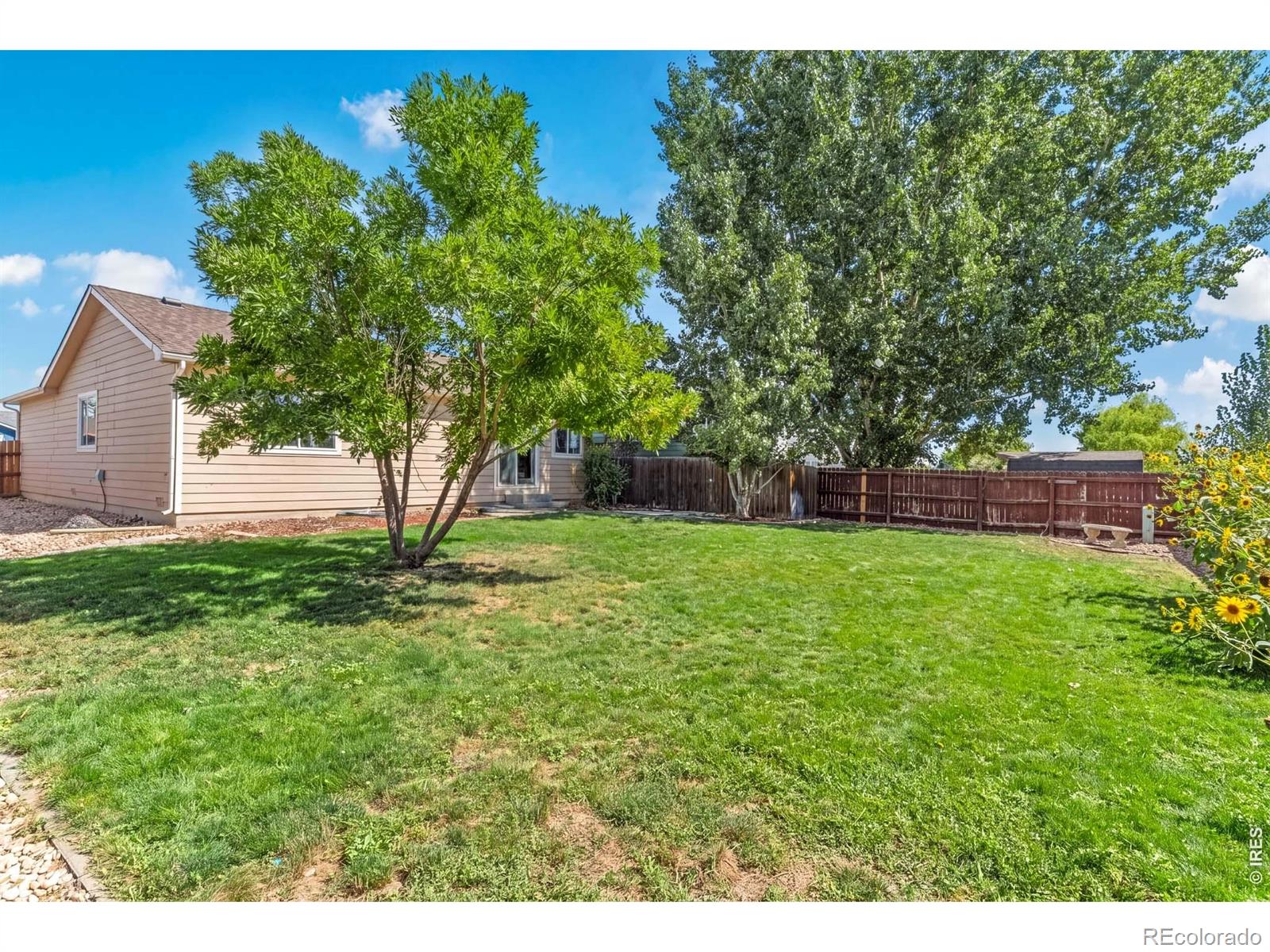 MLS Image #7 for 320 e lilac street,milliken, Colorado