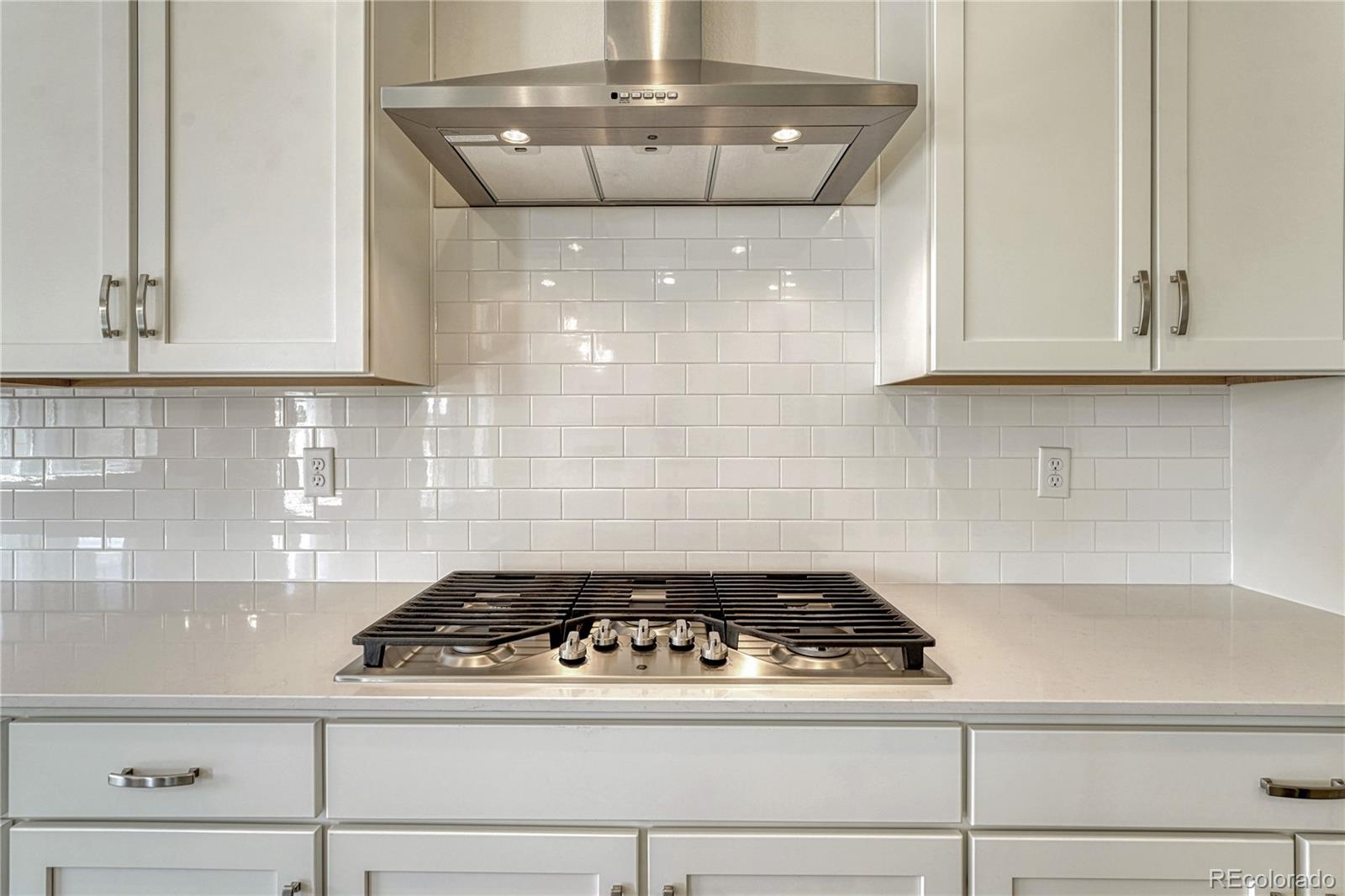 MLS Image #12 for 4121  river oaks street,castle rock, Colorado