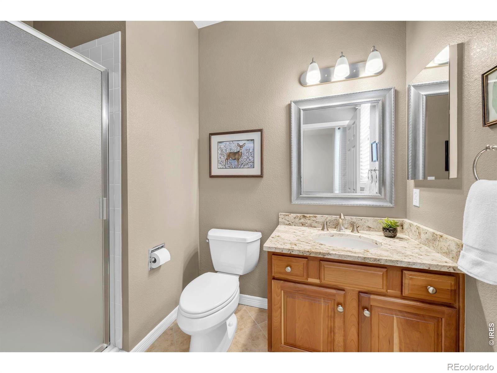 MLS Image #20 for 1590  snowy owl drive,broomfield, Colorado