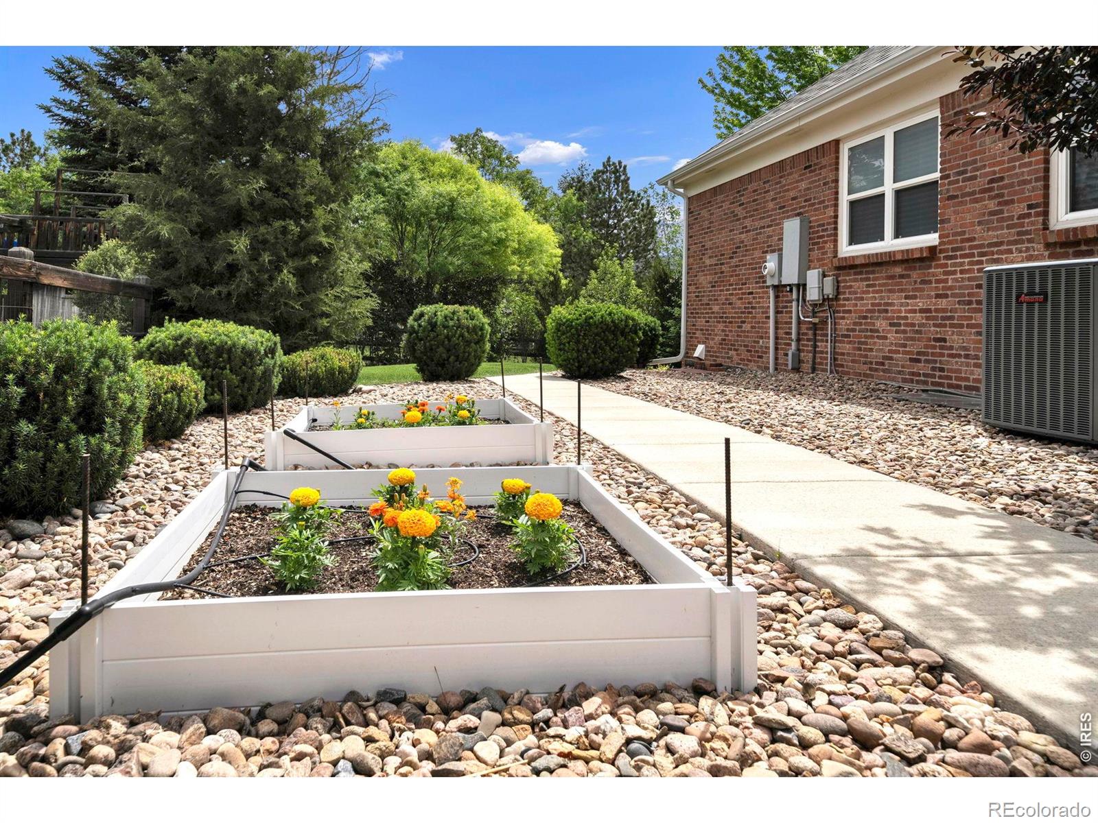 MLS Image #33 for 1590  snowy owl drive,broomfield, Colorado