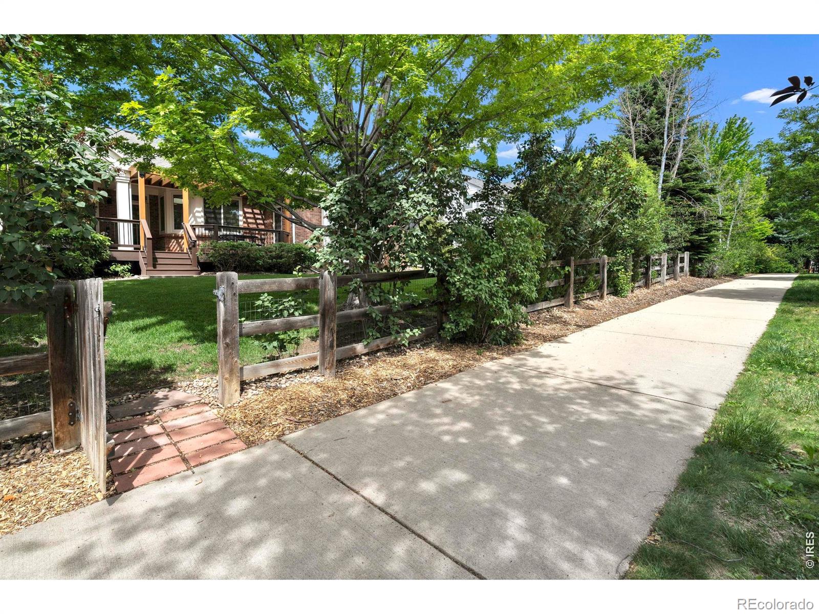 MLS Image #35 for 1590  snowy owl drive,broomfield, Colorado