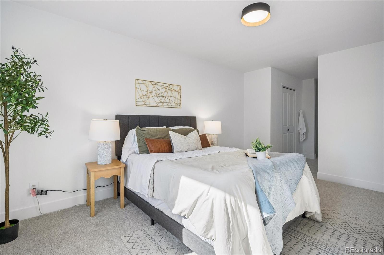 MLS Image #18 for 4777 s nelson street,littleton, Colorado