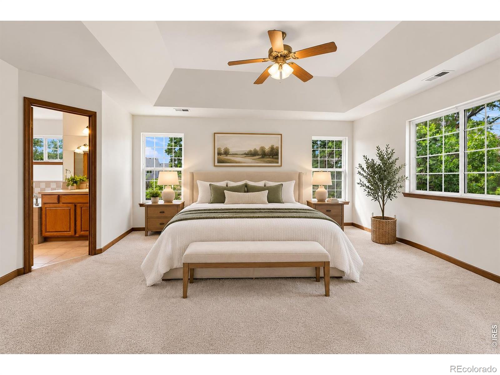 MLS Image #16 for 243  cattail ,windsor, Colorado