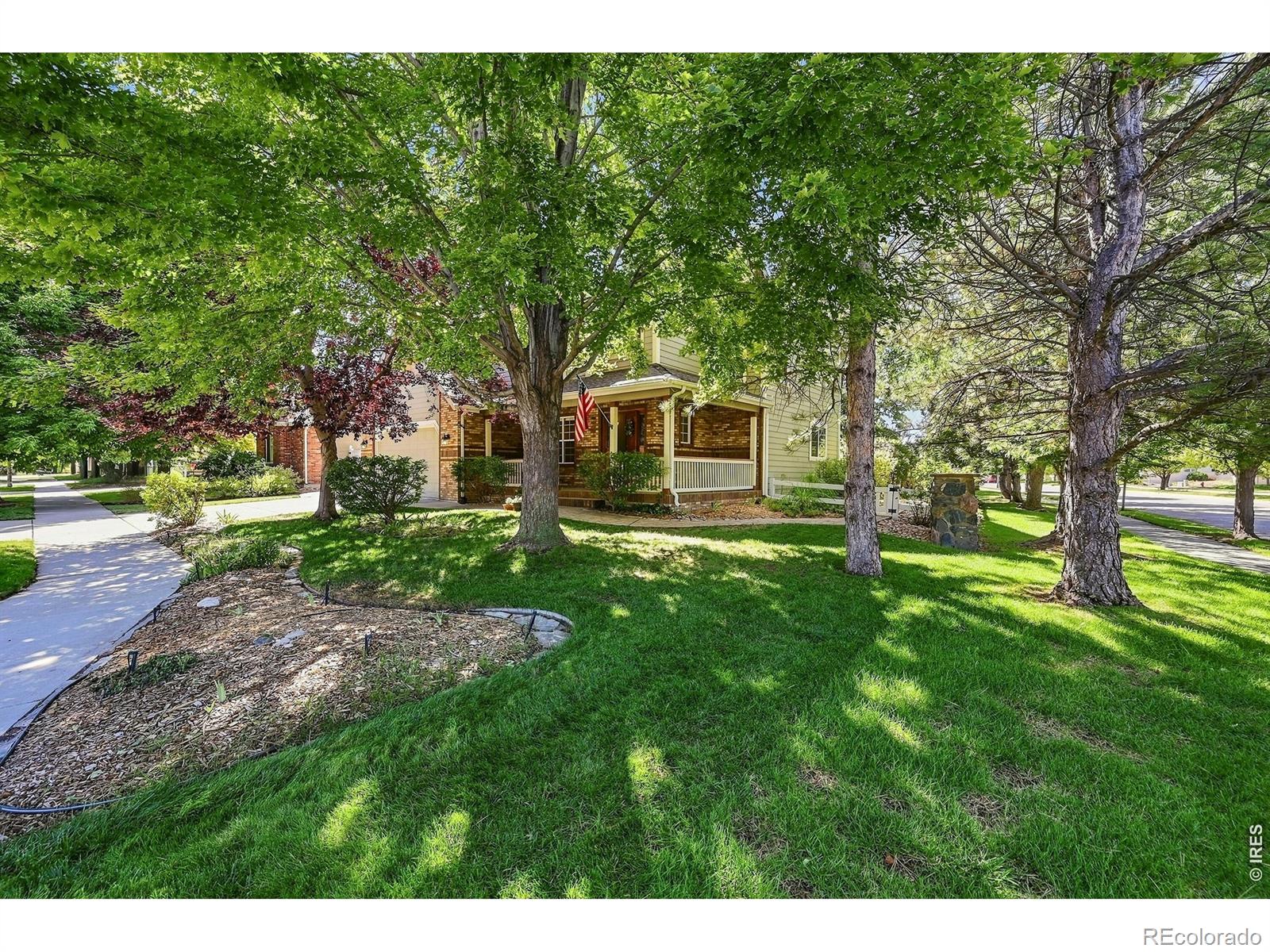 MLS Image #2 for 243  cattail ,windsor, Colorado