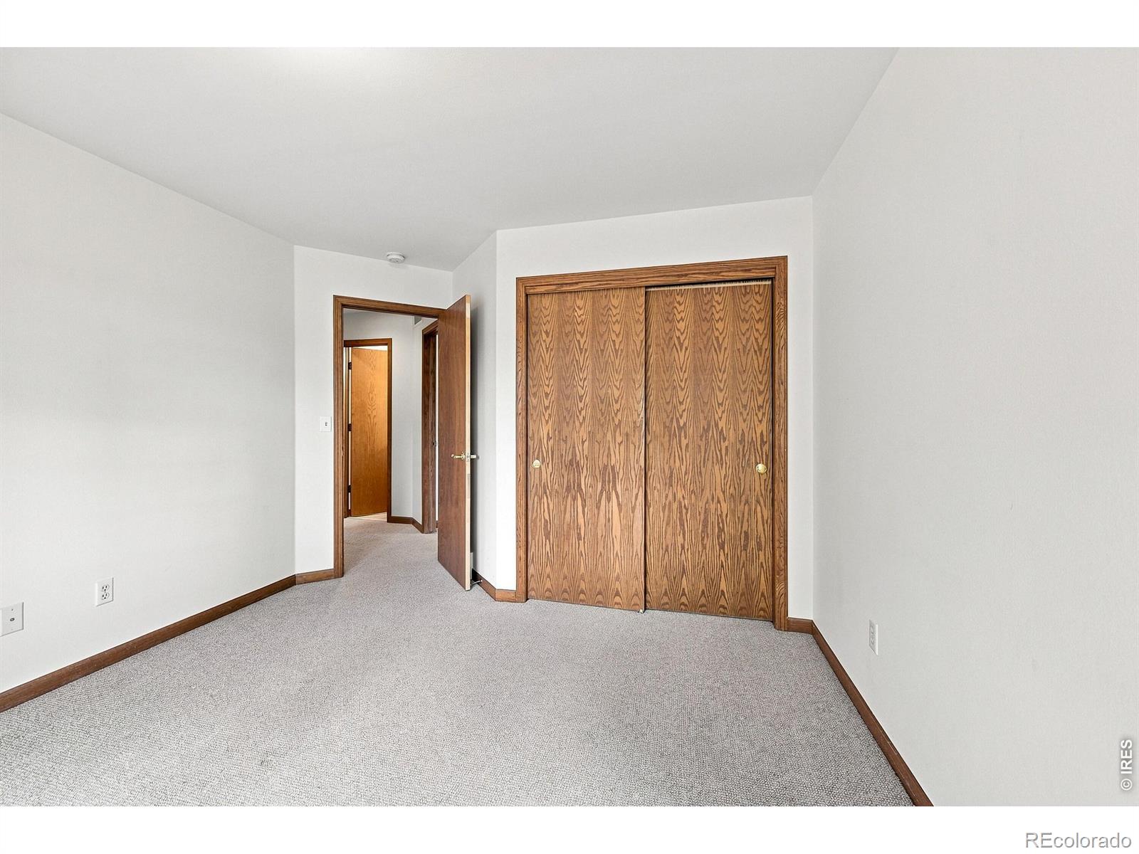 MLS Image #29 for 243  cattail ,windsor, Colorado