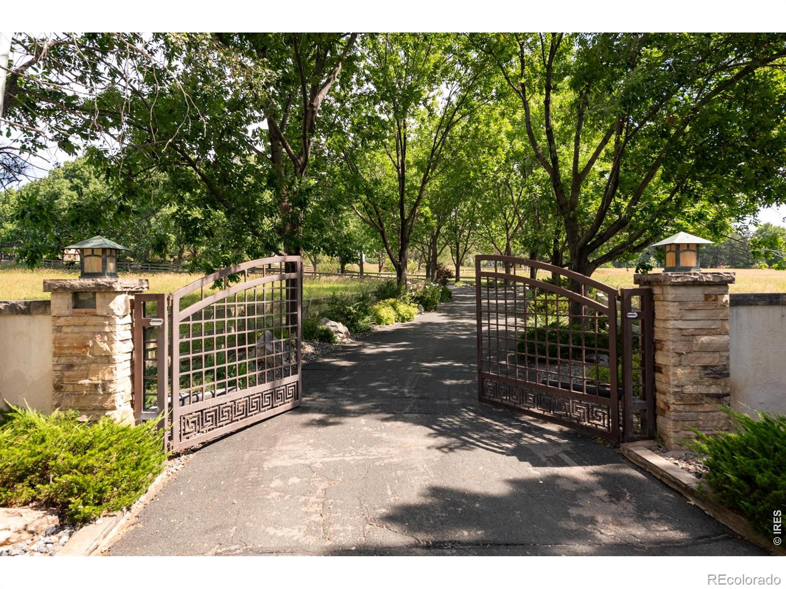 MLS Image #11 for 7009  rozena drive,longmont, Colorado