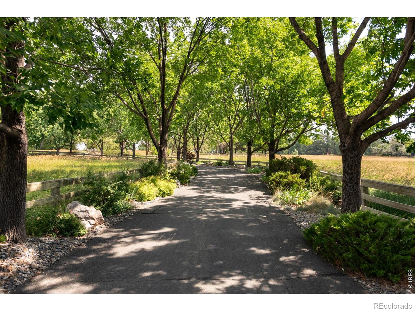 MLS Image #12 for 7009  rozena drive,longmont, Colorado