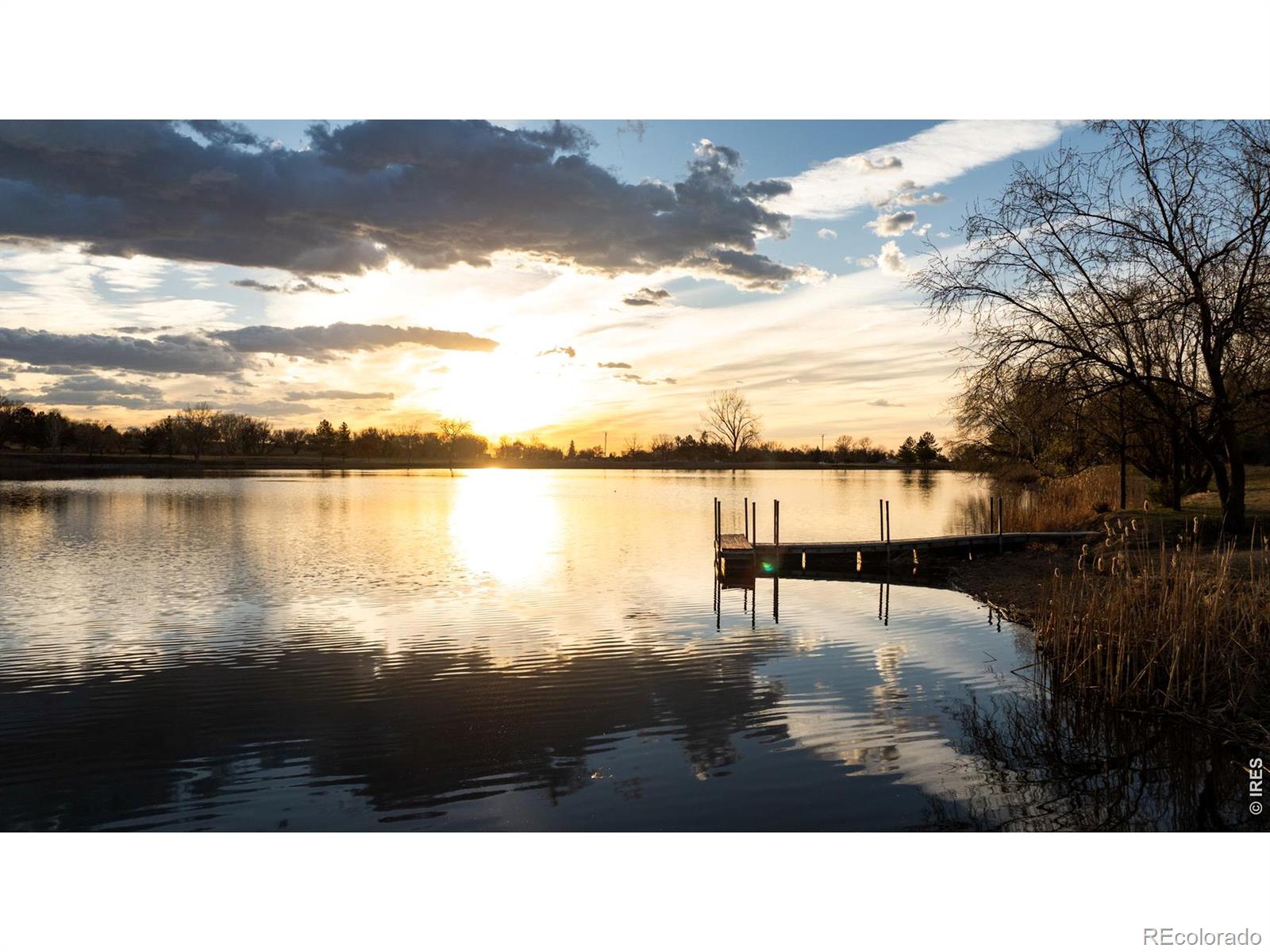 MLS Image #45 for 7009  rozena drive,longmont, Colorado