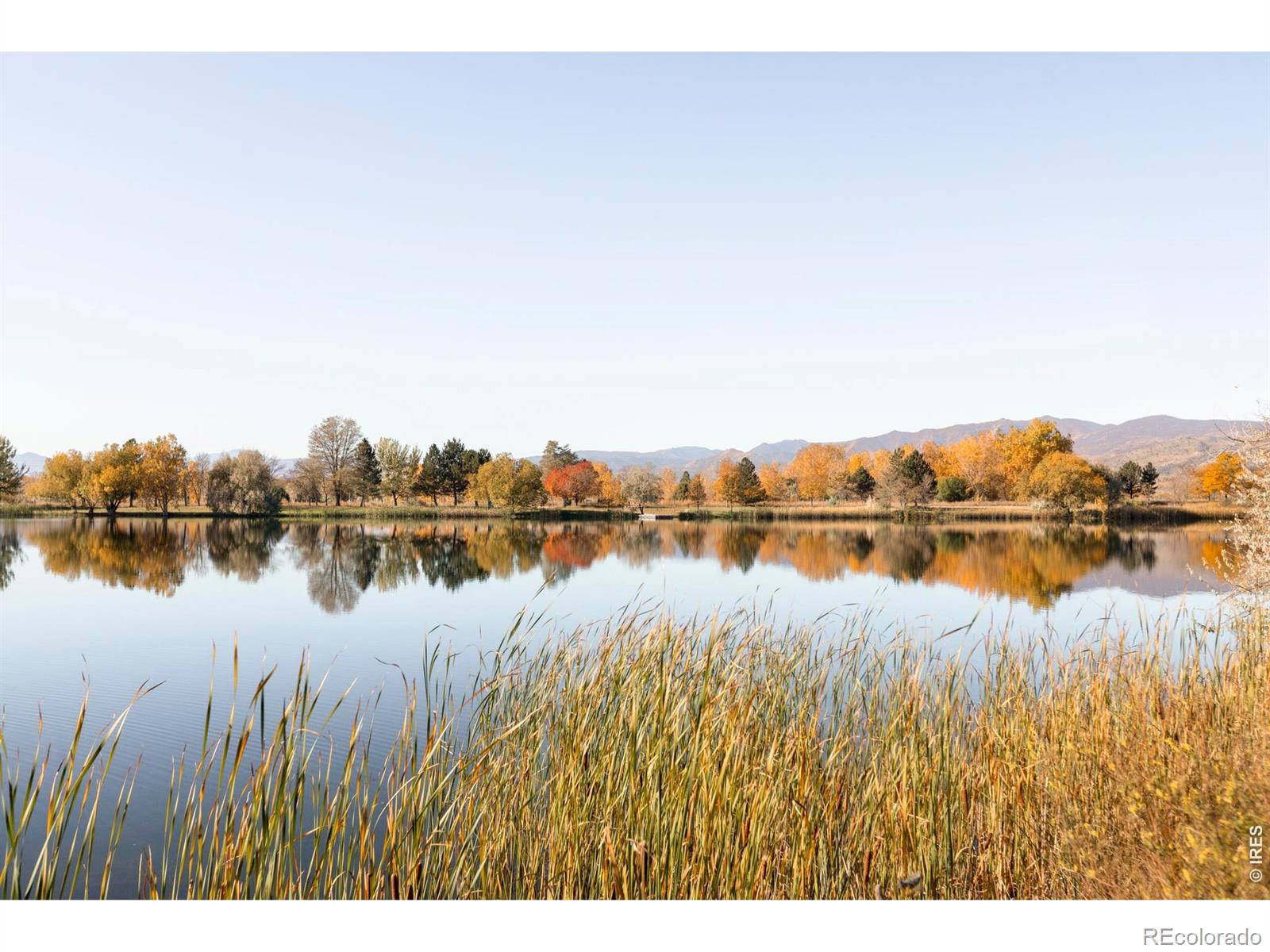 MLS Image #5 for 7009  rozena drive,longmont, Colorado