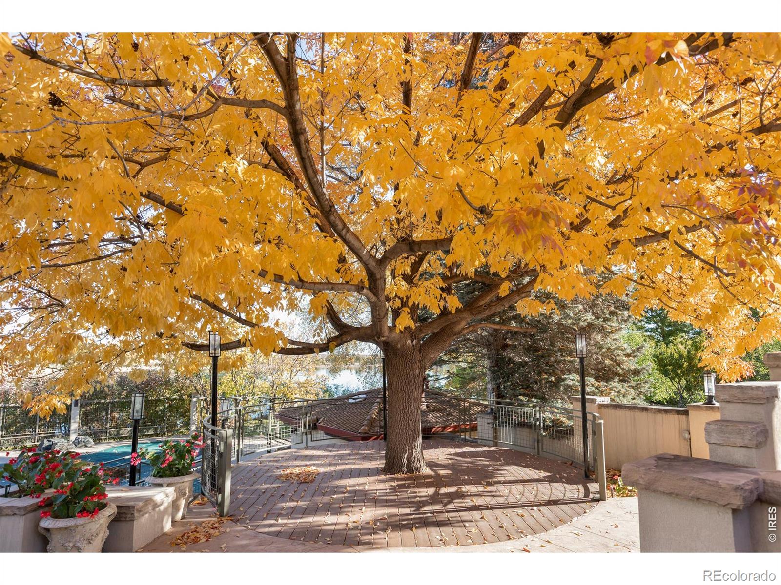 MLS Image #7 for 7009  rozena drive,longmont, Colorado