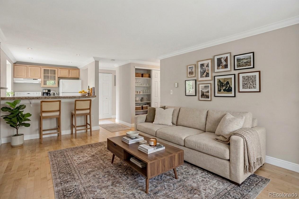 MLS Image #1 for 1125 n washington street,denver, Colorado