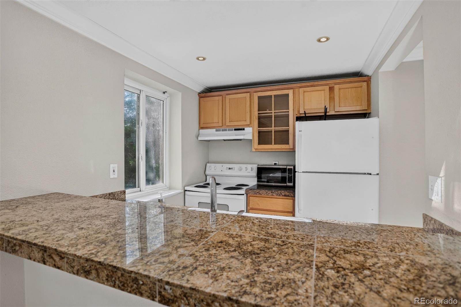 MLS Image #14 for 1125 n washington street,denver, Colorado