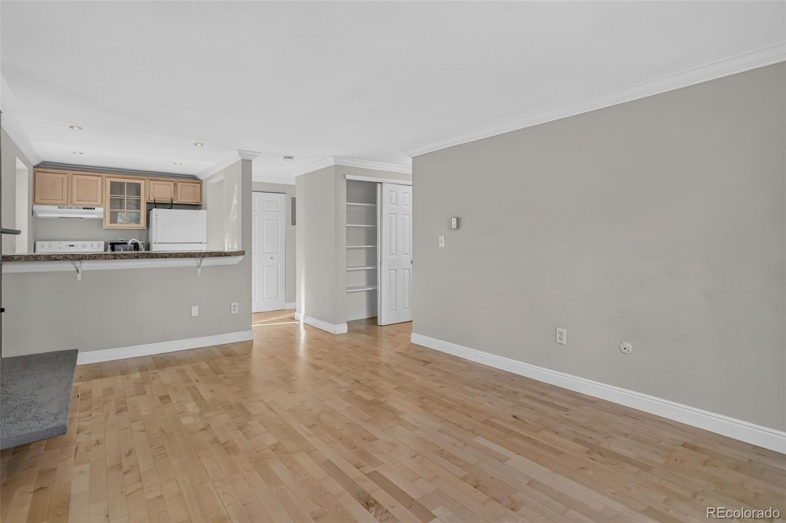 MLS Image #2 for 1125 n washington street,denver, Colorado