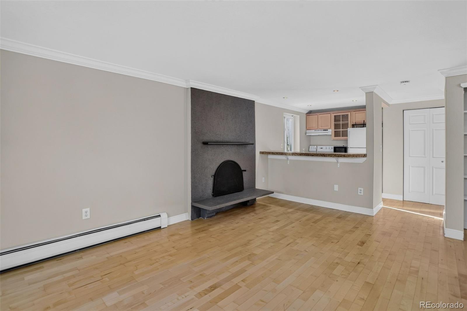 MLS Image #5 for 1125 n washington street,denver, Colorado