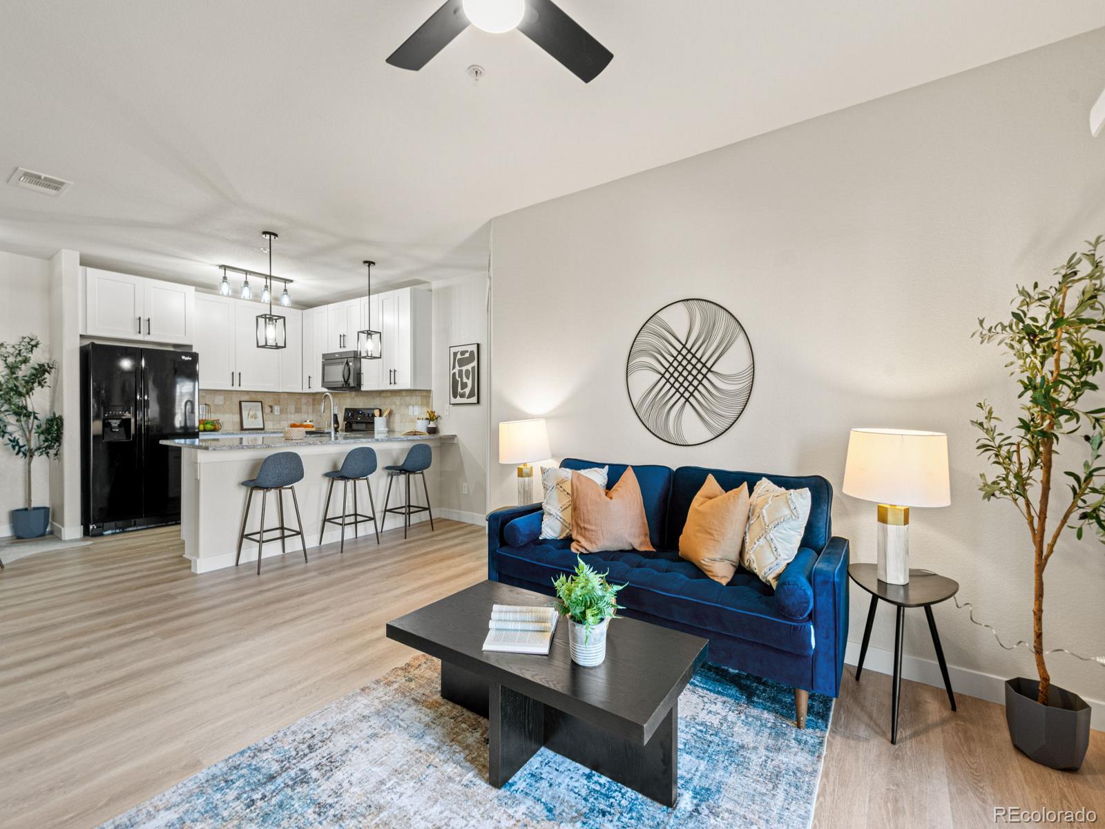 MLS Image #12 for 725  elmhurst drive,highlands ranch, Colorado
