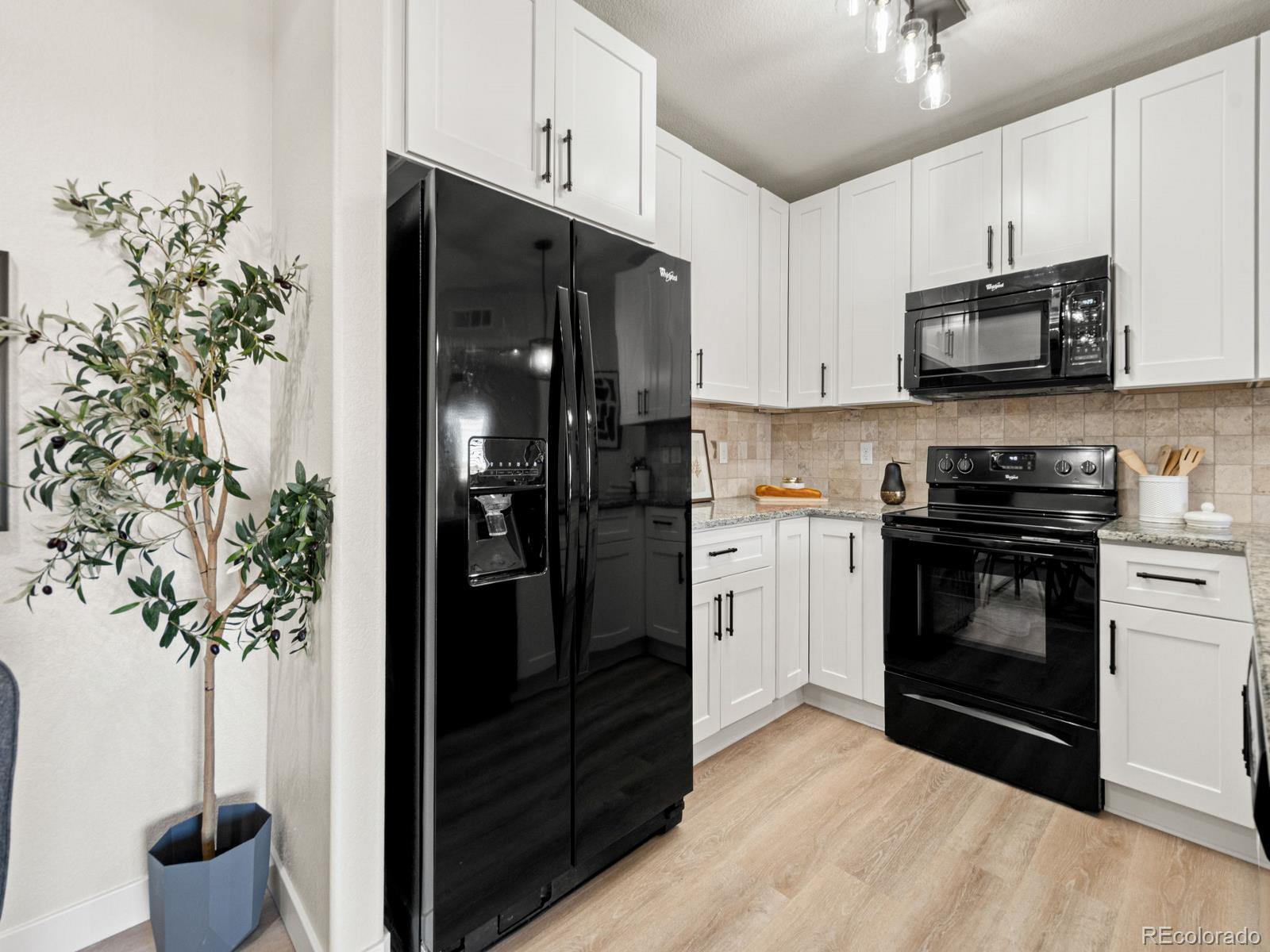 MLS Image #6 for 725  elmhurst drive,highlands ranch, Colorado