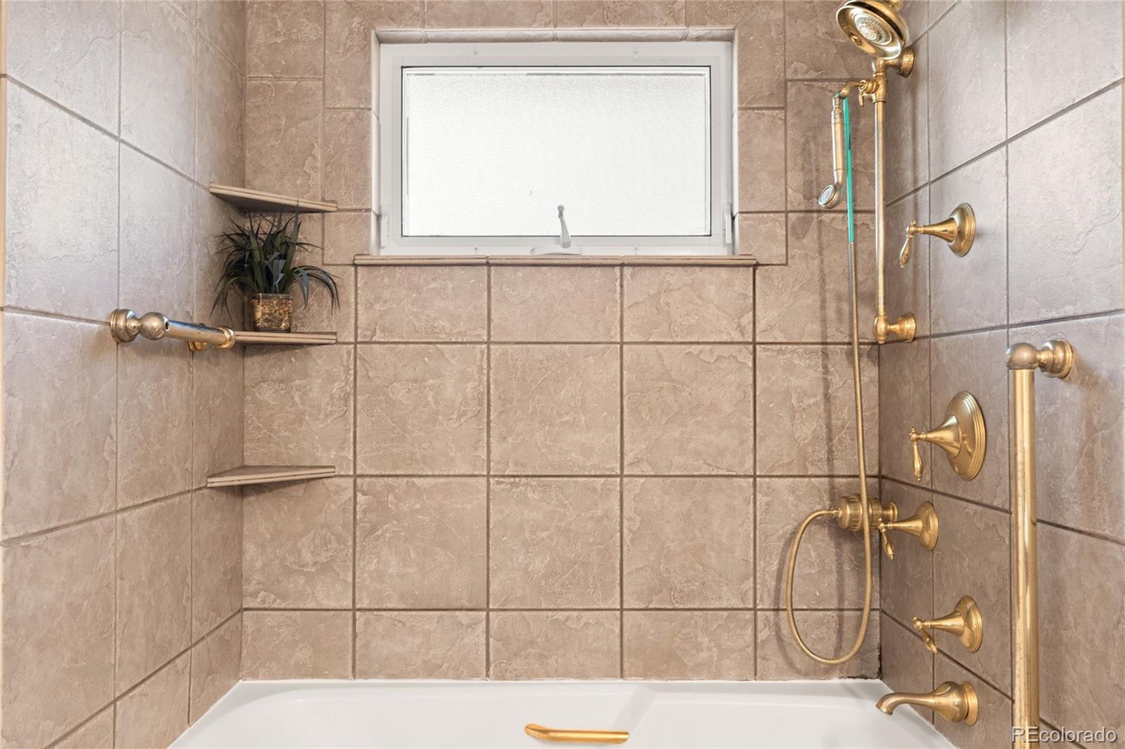 MLS Image #22 for 11019  brownstone drive,parker, Colorado