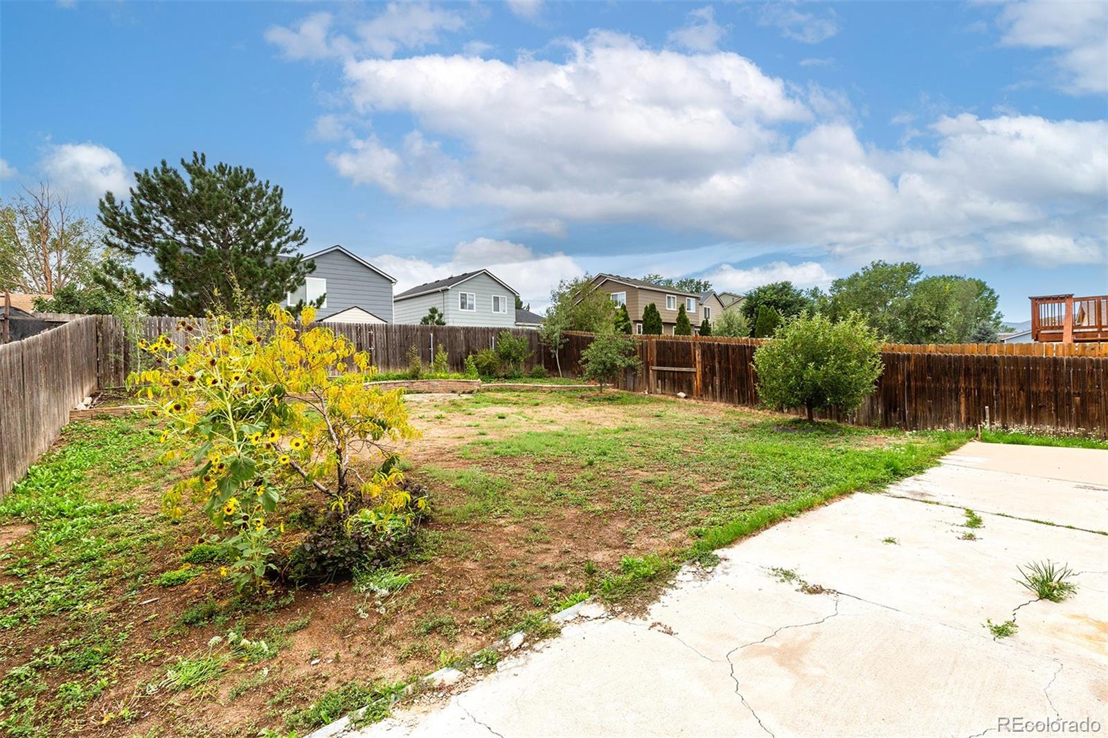 MLS Image #22 for 7027  big timber drive,colorado springs, Colorado