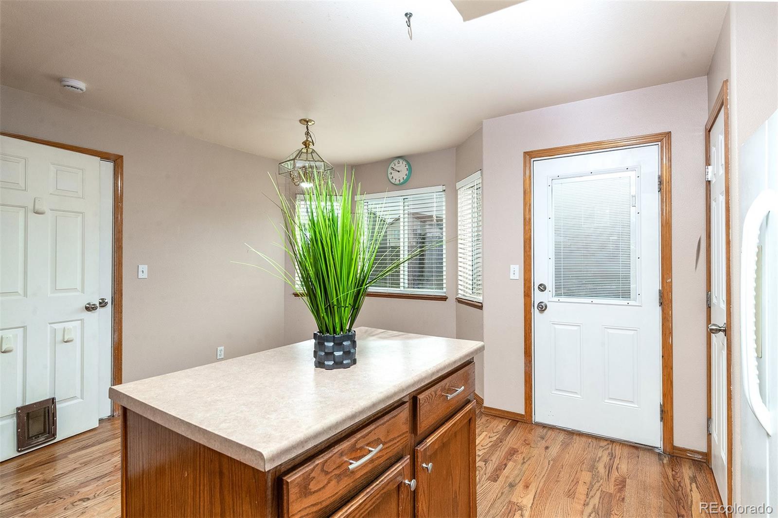 MLS Image #7 for 7027  big timber drive,colorado springs, Colorado
