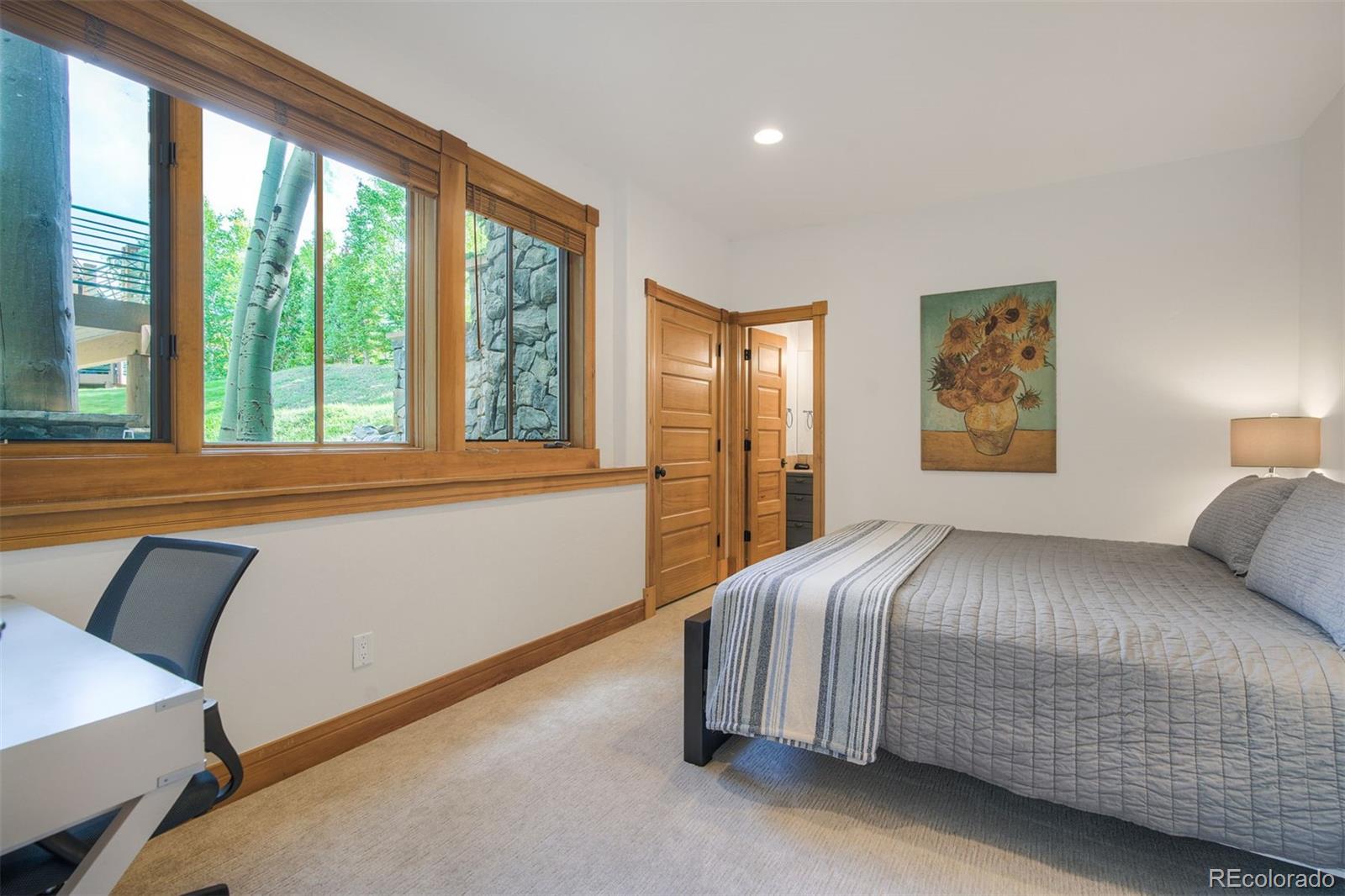 MLS Image #21 for 63  north road,breckenridge, Colorado
