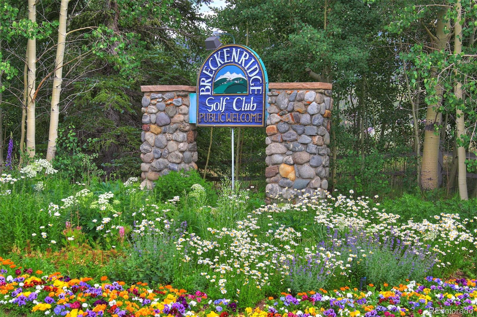 MLS Image #38 for 63  north road,breckenridge, Colorado