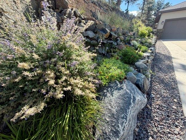 MLS Image #49 for 1029  blue grass trail,evergreen, Colorado