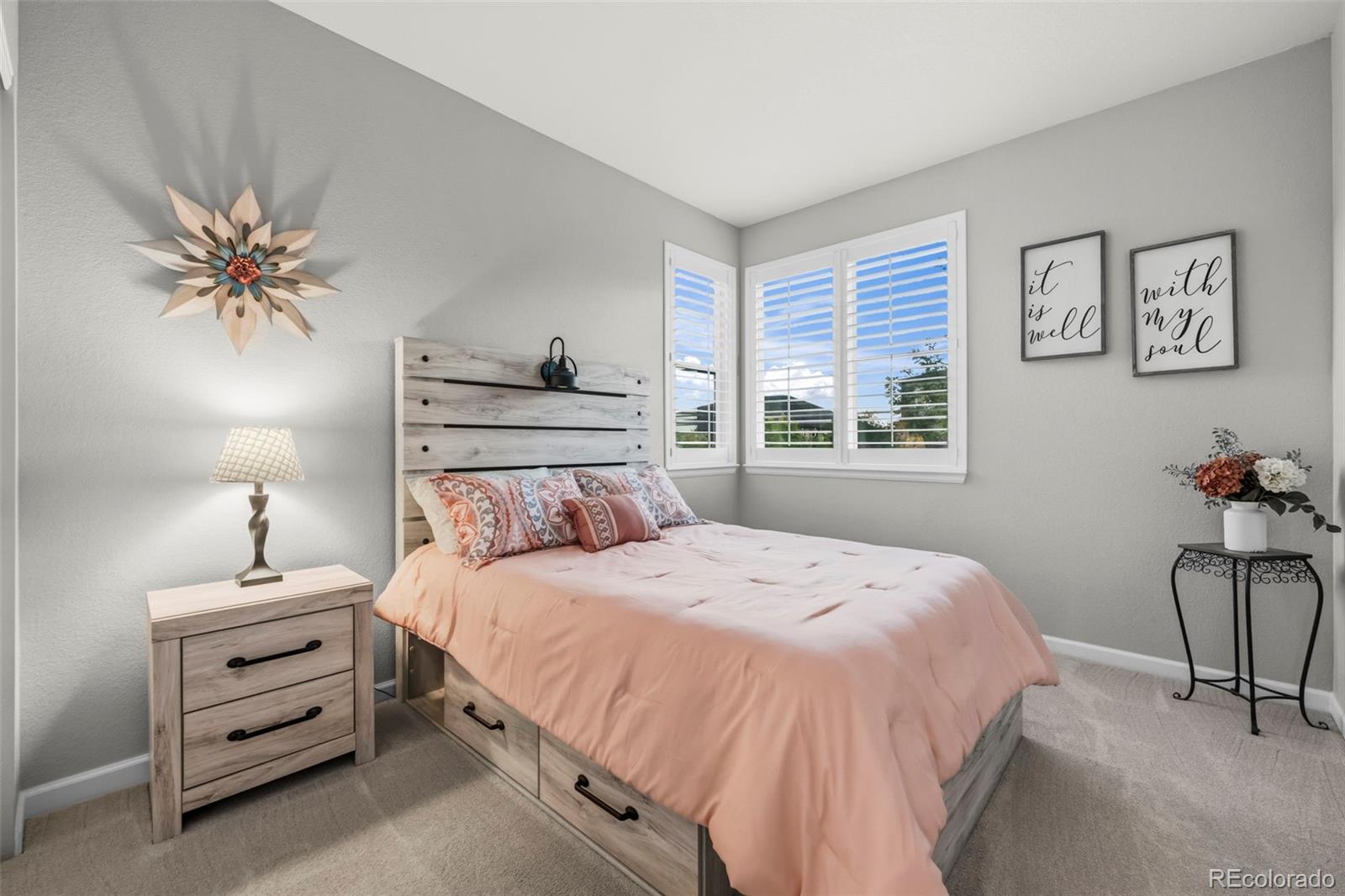 MLS Image #10 for 8973  birch run lane,parker, Colorado