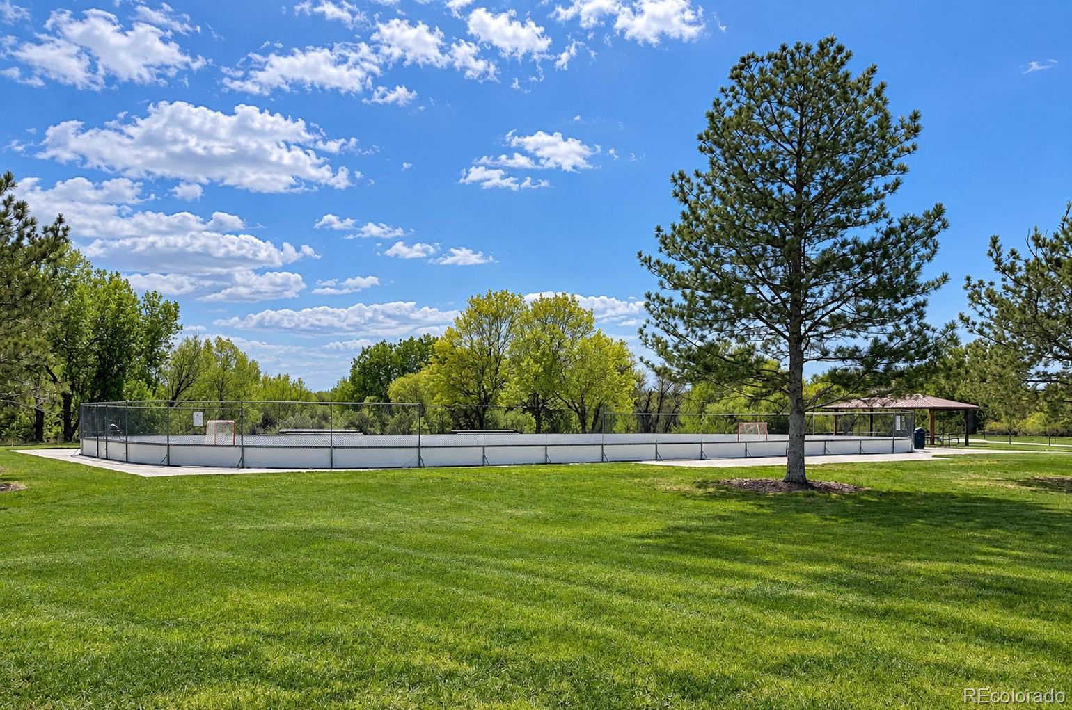 MLS Image #18 for 8973  birch run lane,parker, Colorado