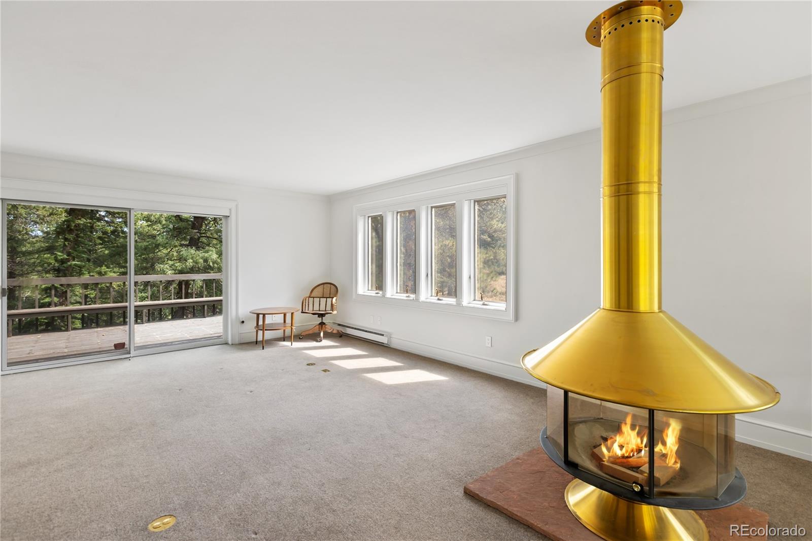 MLS Image #14 for 580  mills ranch road,woodland park, Colorado