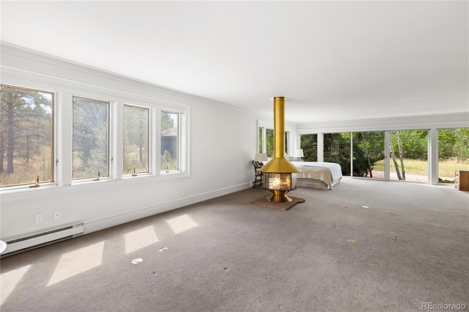 MLS Image #15 for 580  mills ranch road,woodland park, Colorado
