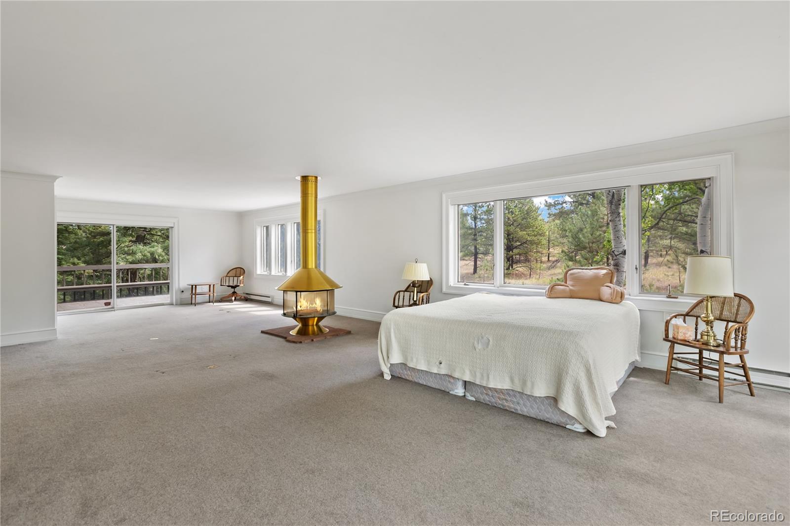 MLS Image #16 for 580  mills ranch road,woodland park, Colorado