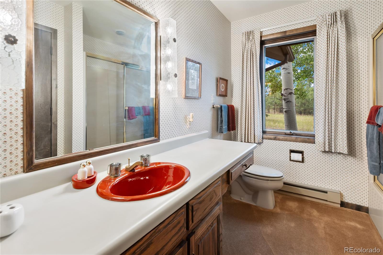 MLS Image #20 for 580  mills ranch road,woodland park, Colorado