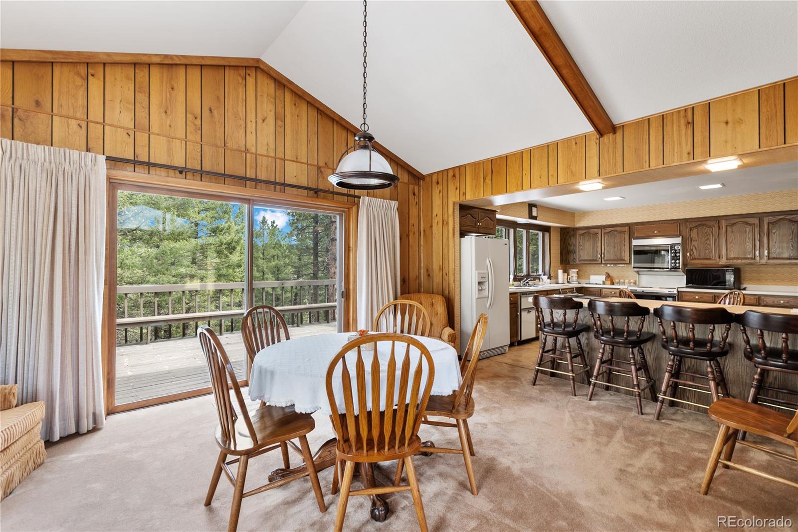 MLS Image #21 for 580  mills ranch road,woodland park, Colorado