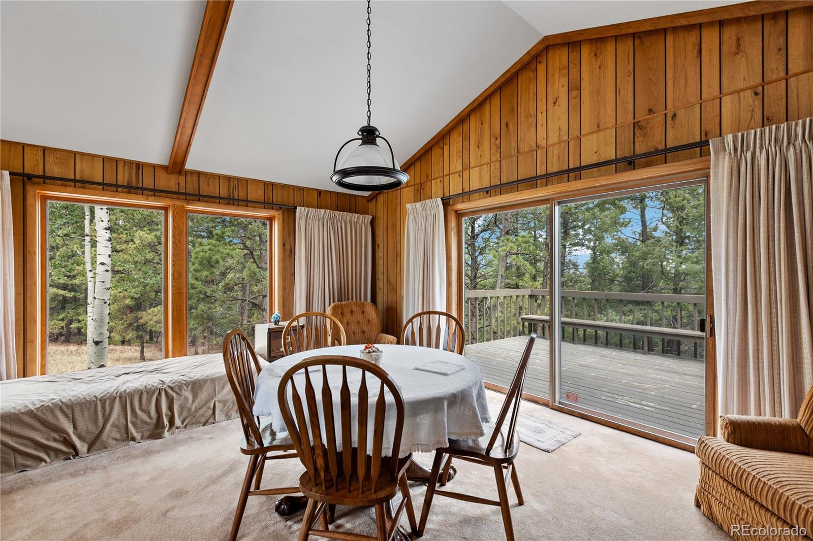 MLS Image #22 for 580  mills ranch road,woodland park, Colorado