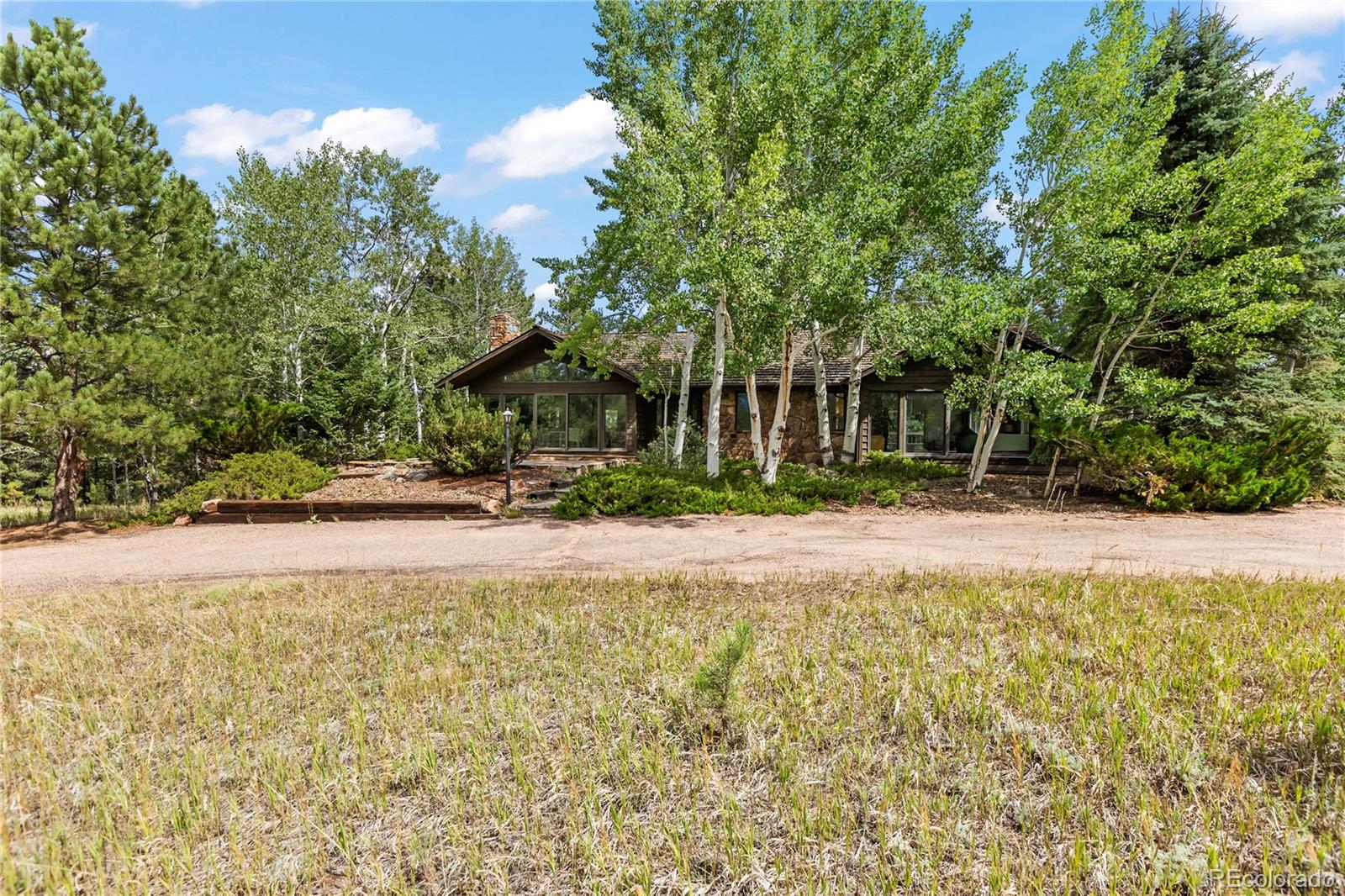 MLS Image #3 for 580  mills ranch road,woodland park, Colorado