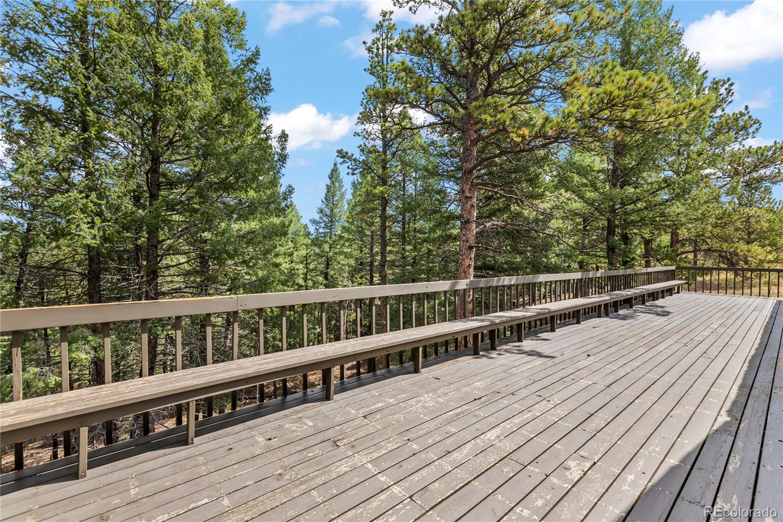 MLS Image #39 for 580  mills ranch road,woodland park, Colorado