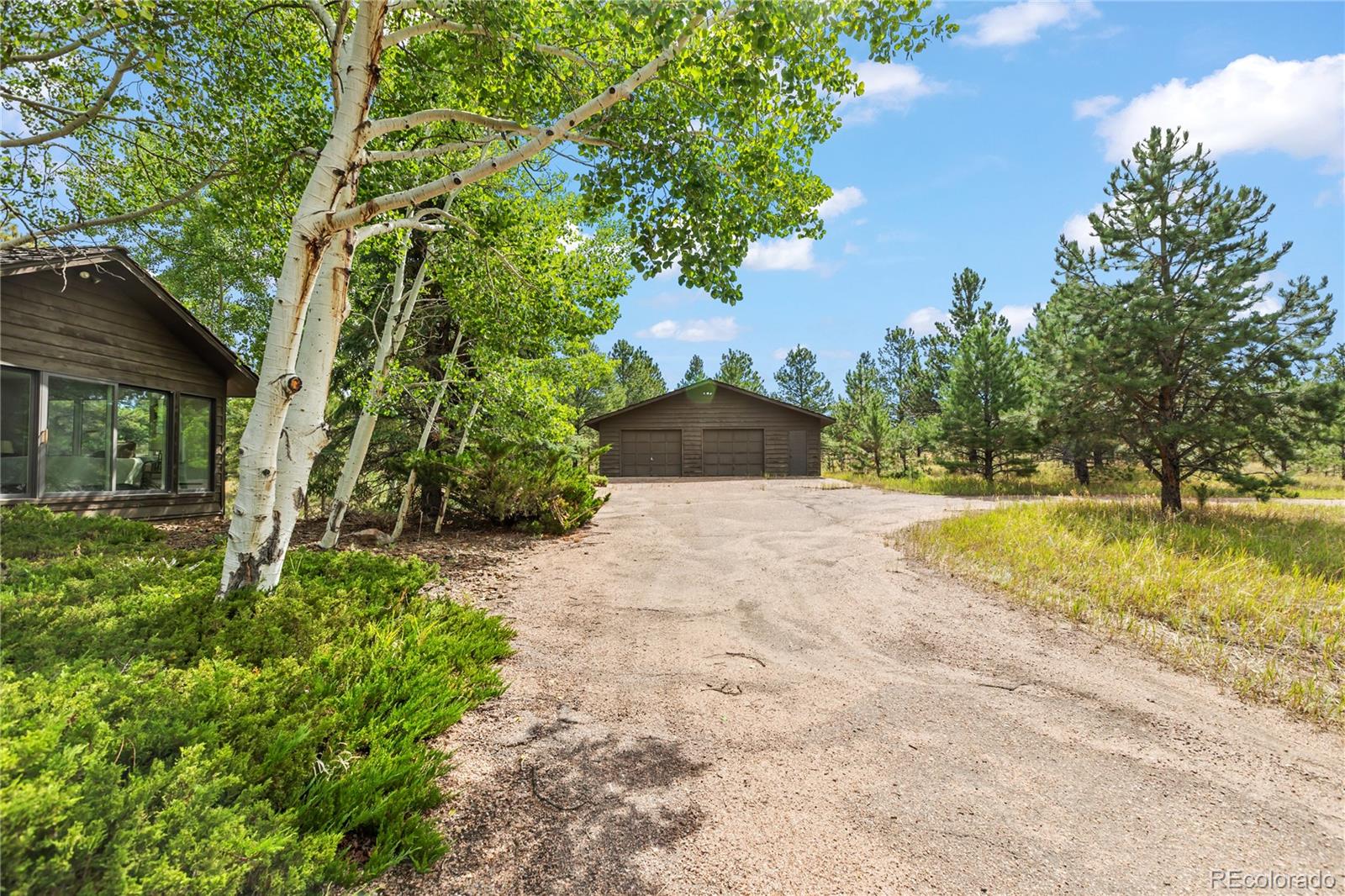 MLS Image #4 for 580  mills ranch road,woodland park, Colorado