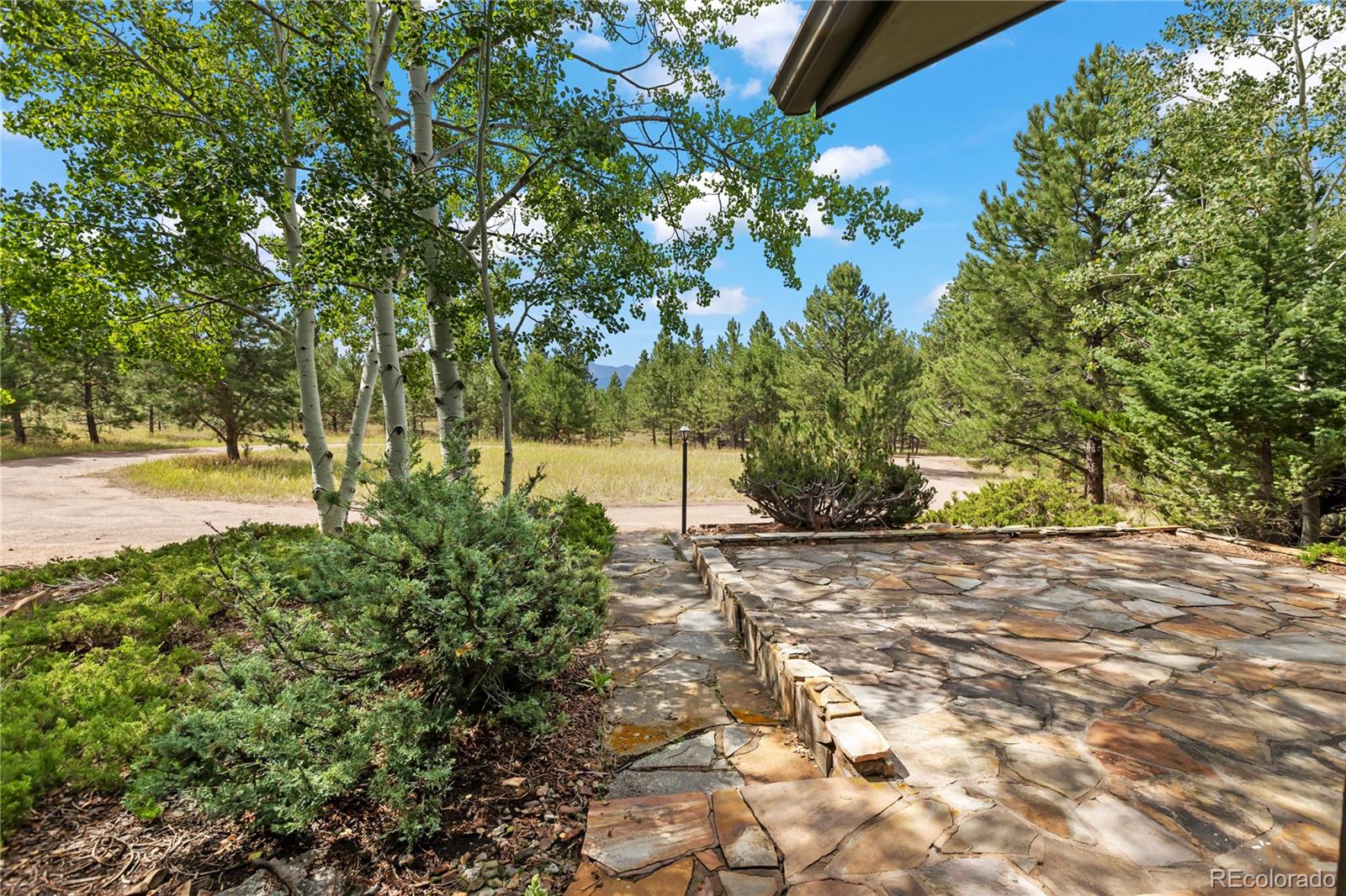 MLS Image #41 for 580  mills ranch road,woodland park, Colorado