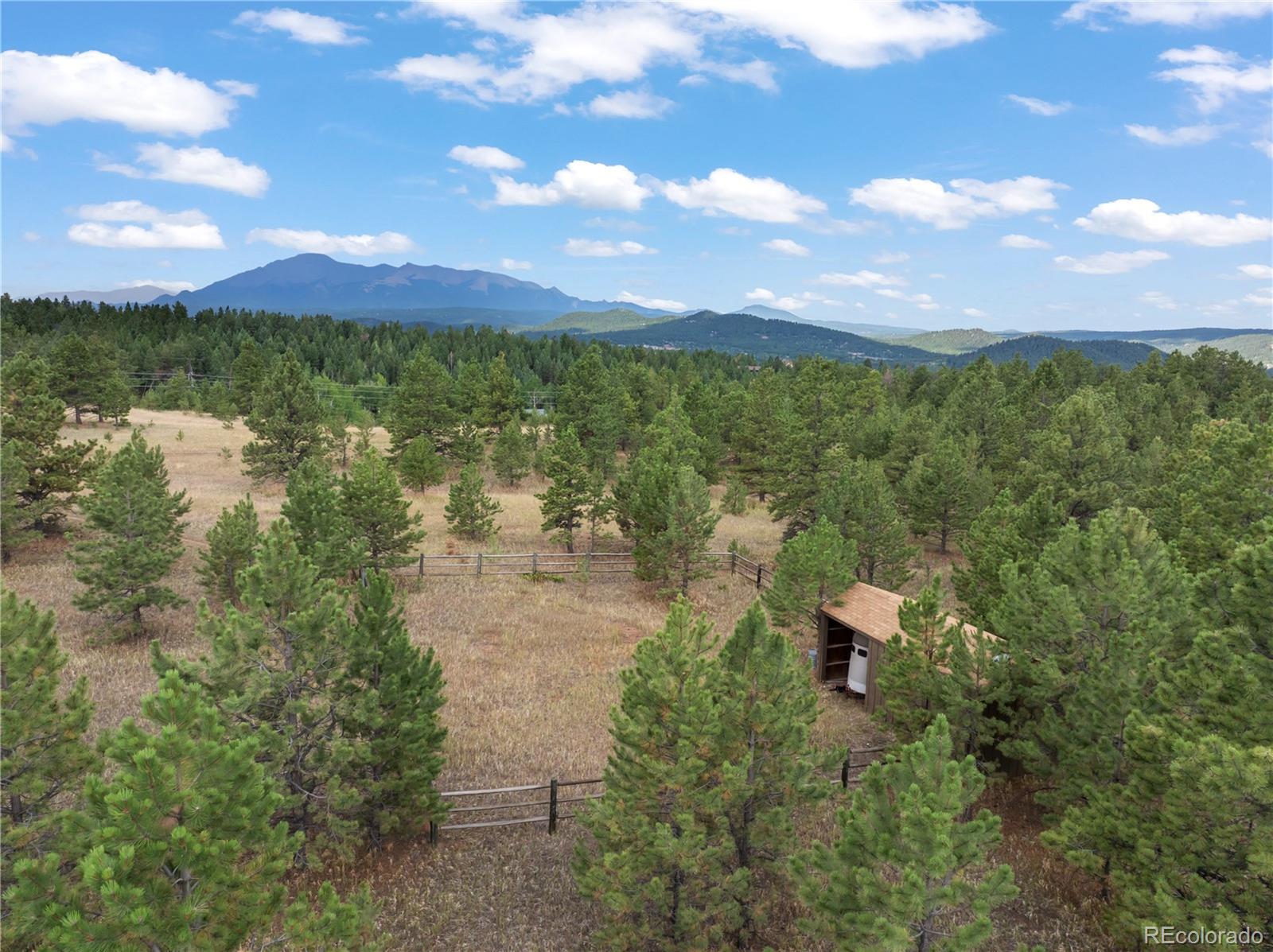 MLS Image #5 for 580  mills ranch road,woodland park, Colorado