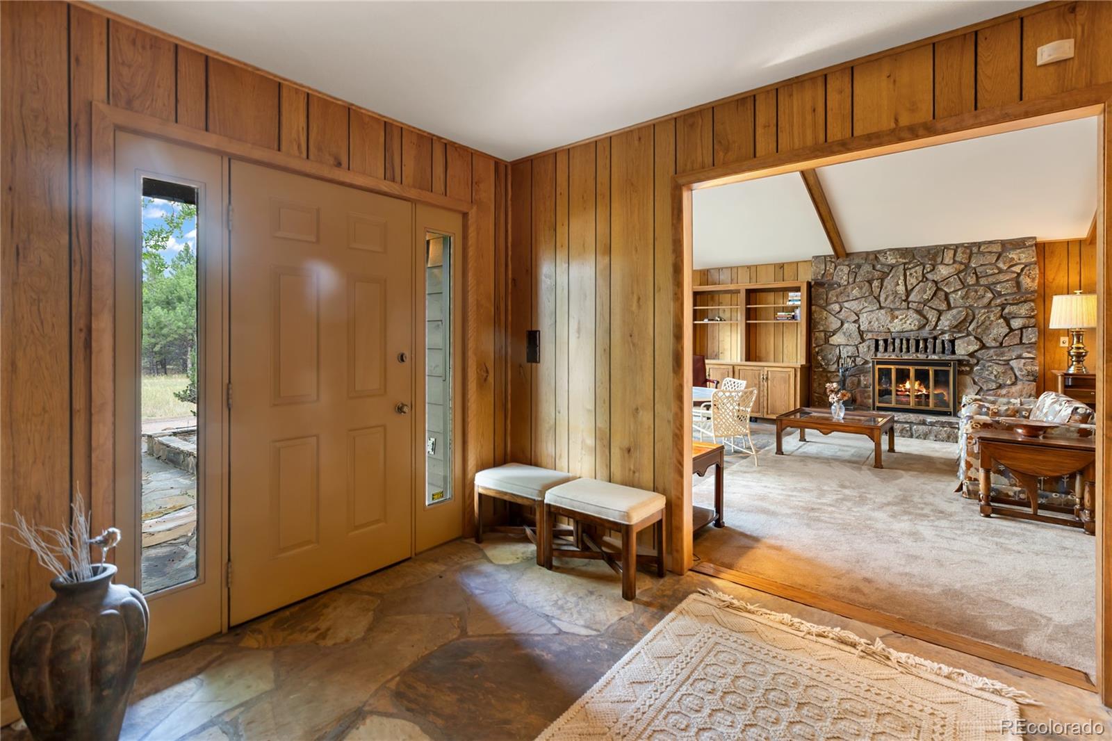MLS Image #6 for 580  mills ranch road,woodland park, Colorado