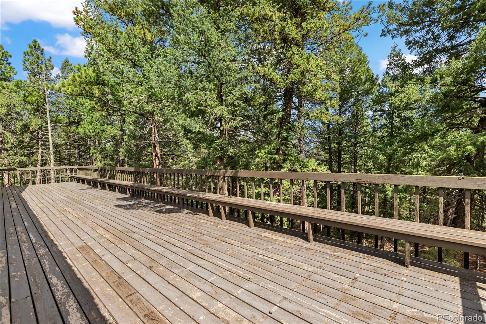 MLS Image #7 for 580  mills ranch road,woodland park, Colorado
