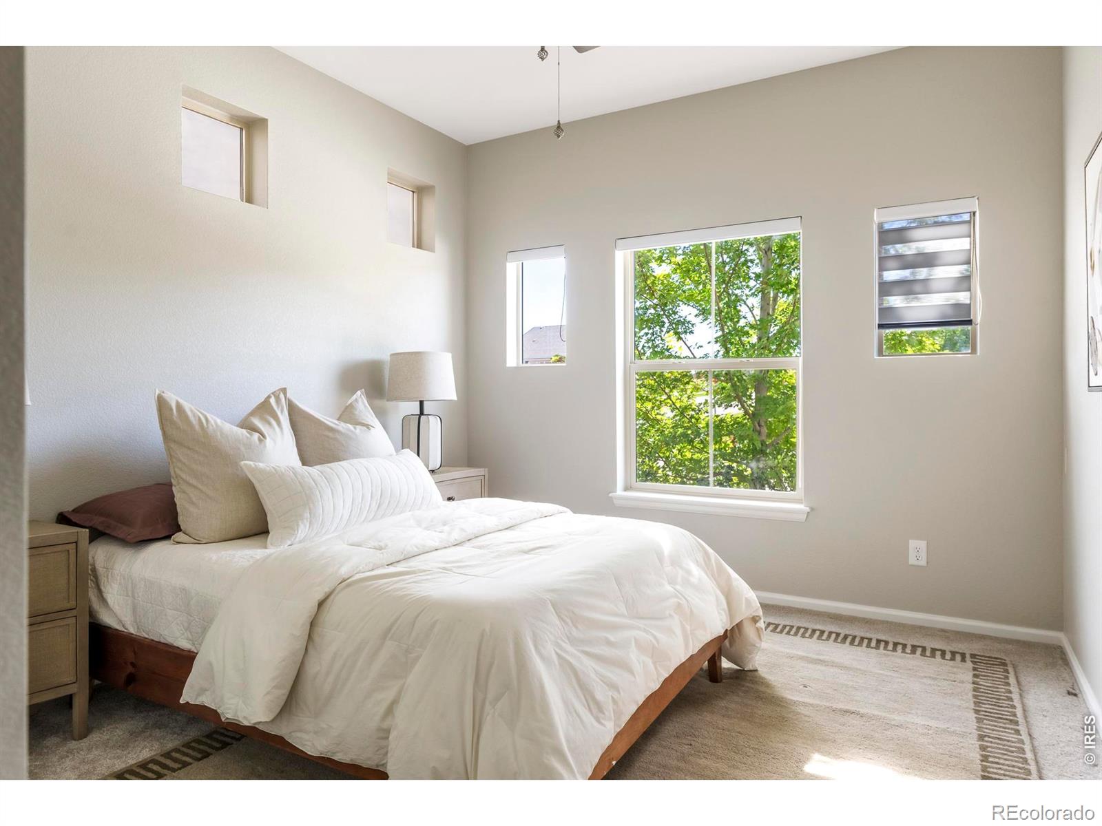 MLS Image #18 for 122  poppy view lane,erie, Colorado