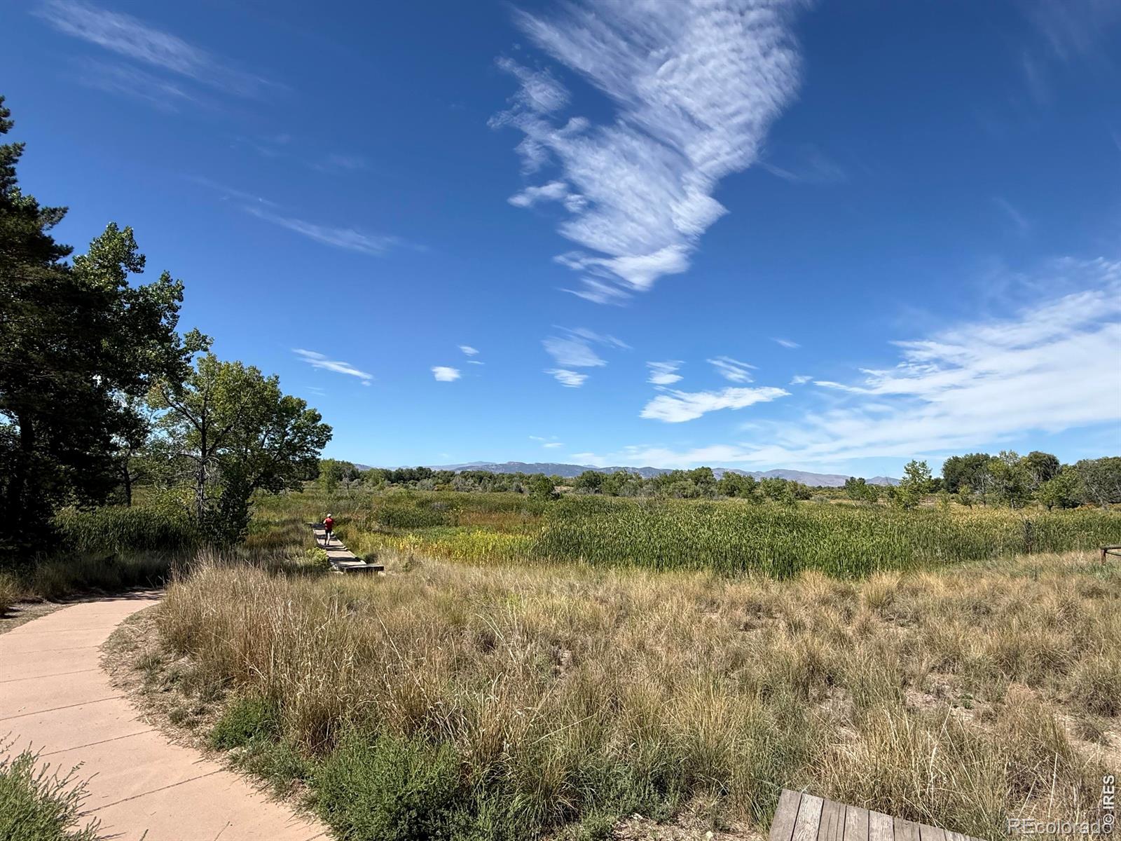 MLS Image #10 for 728  rene drive,fort collins, Colorado