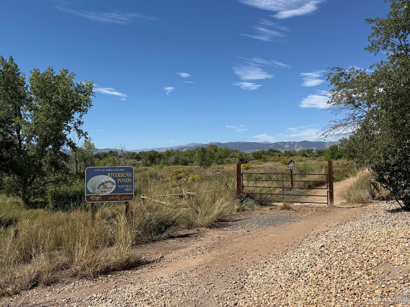 MLS Image #6 for 728  rene drive,fort collins, Colorado