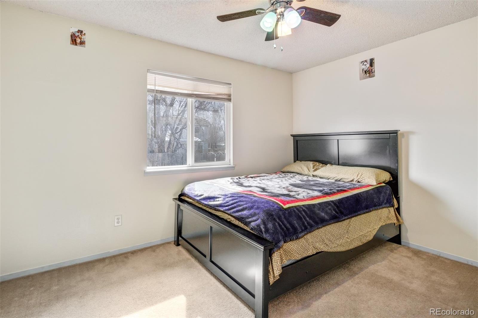MLS Image #12 for 40  murray heights drive,colorado springs, Colorado