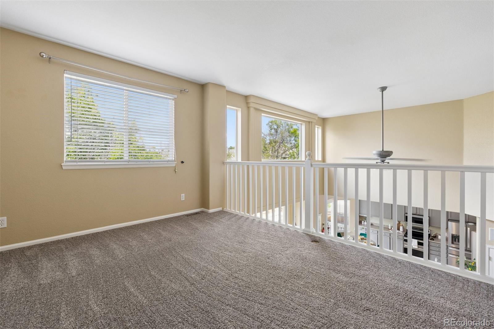 MLS Image #38 for 537  pitkin way,castle rock, Colorado