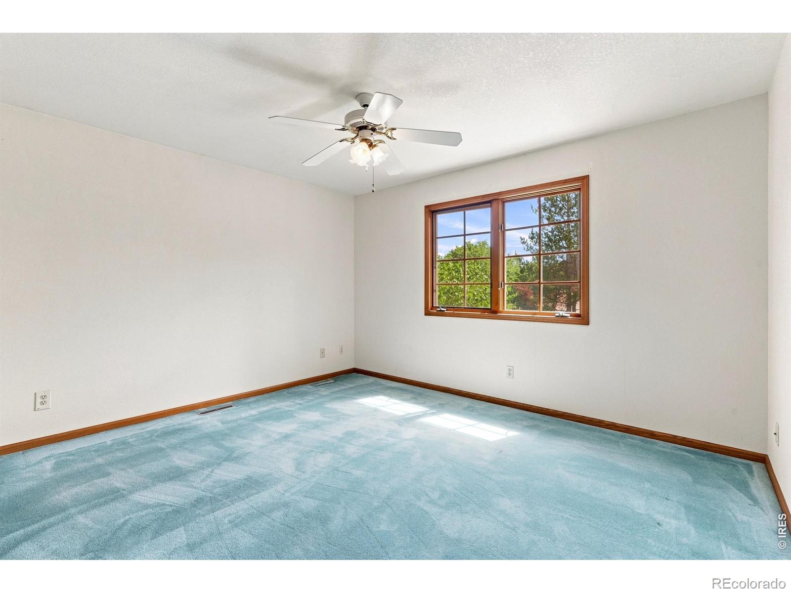 MLS Image #24 for 1331  ruby way,longmont, Colorado