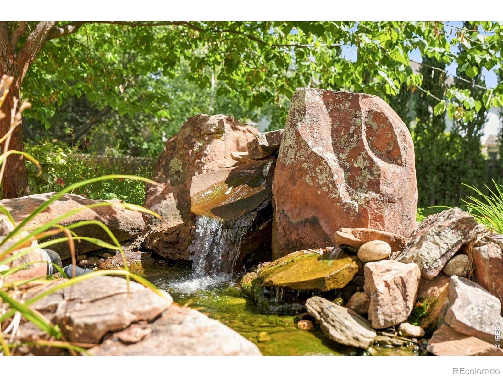 MLS Image #41 for 1331  ruby way,longmont, Colorado