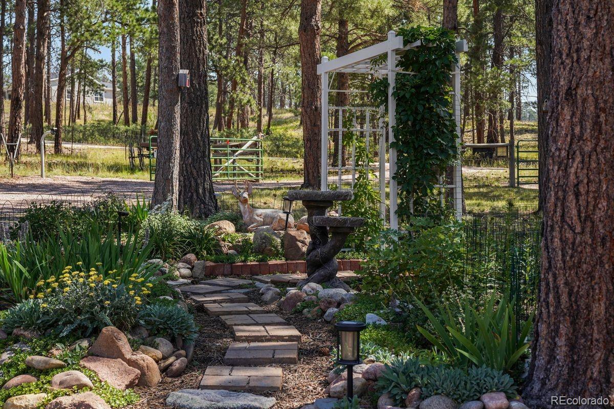 MLS Image #34 for 13290  pinery drive,colorado springs, Colorado